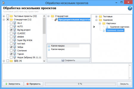 a program Window: Processing of several projects